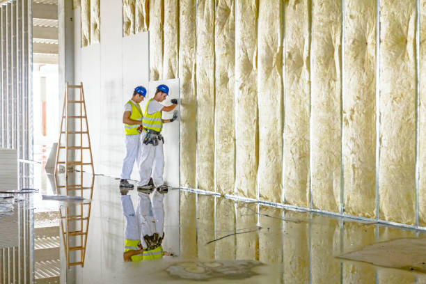 Best Residential Insulation in Greenville, MS